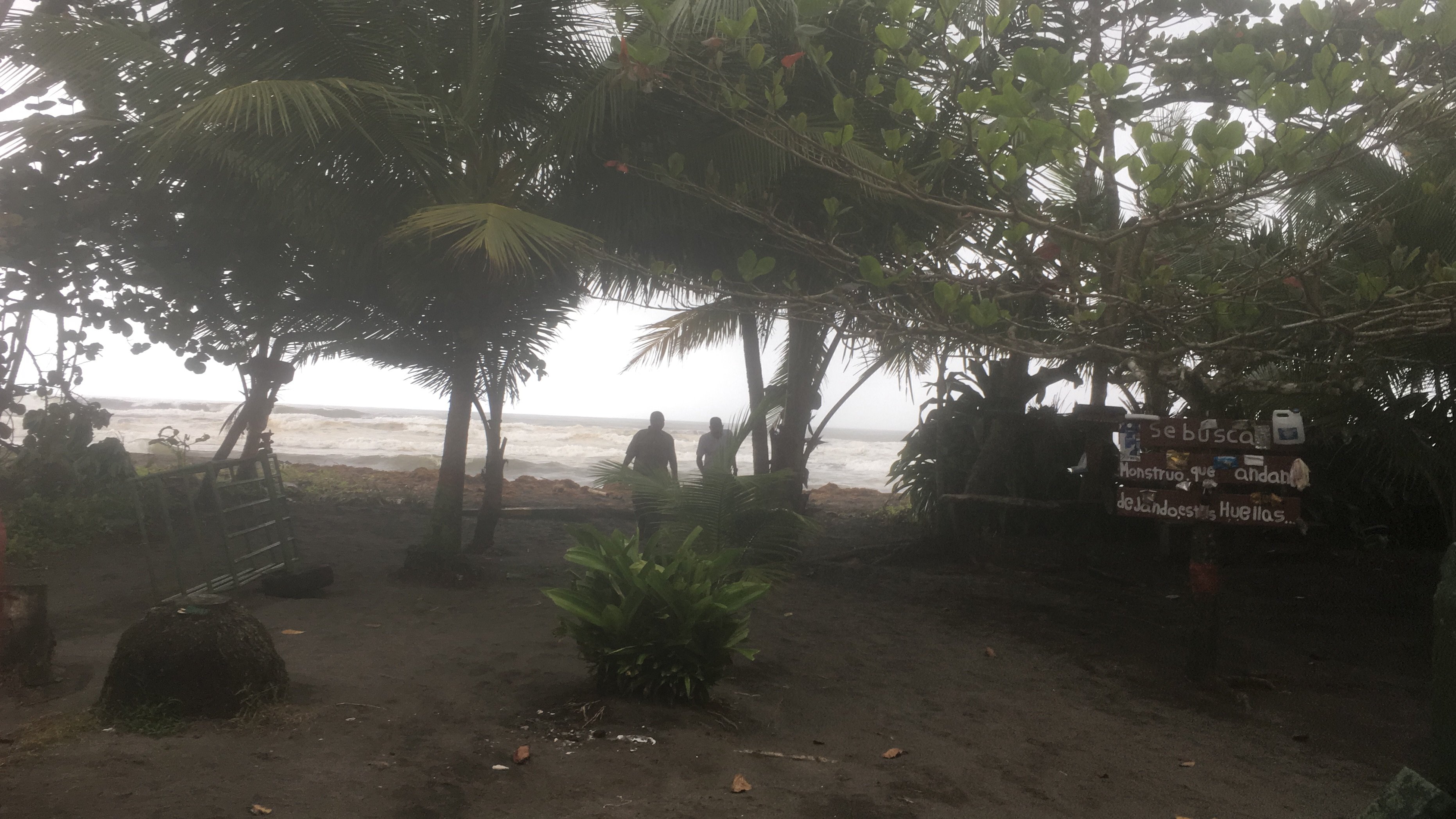 Hotel El Icaco Tortuguero-泳池