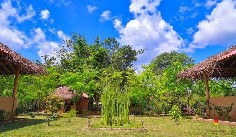 Niyagala Lodge-官方