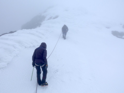 Rwenzori Mountaineering - Trekking Expeditions-温佐里山国家公园必去景点