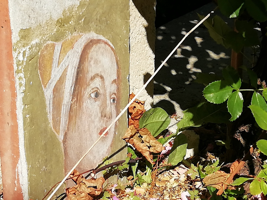 La Sterne de Loire主图