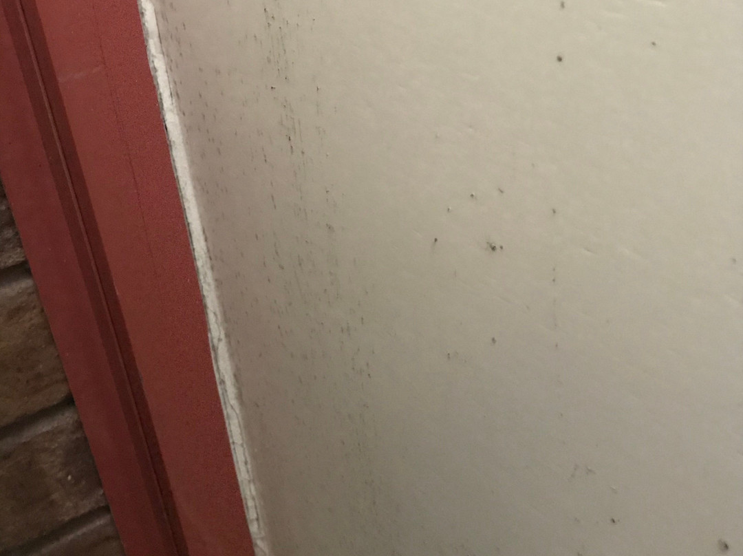 洛恩车夫客栈主图