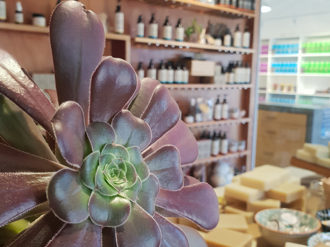 Vineyard Road Cellar Door-Belvidere必去景点