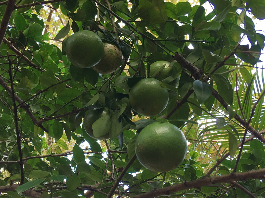 Hotel Playa Negra主图