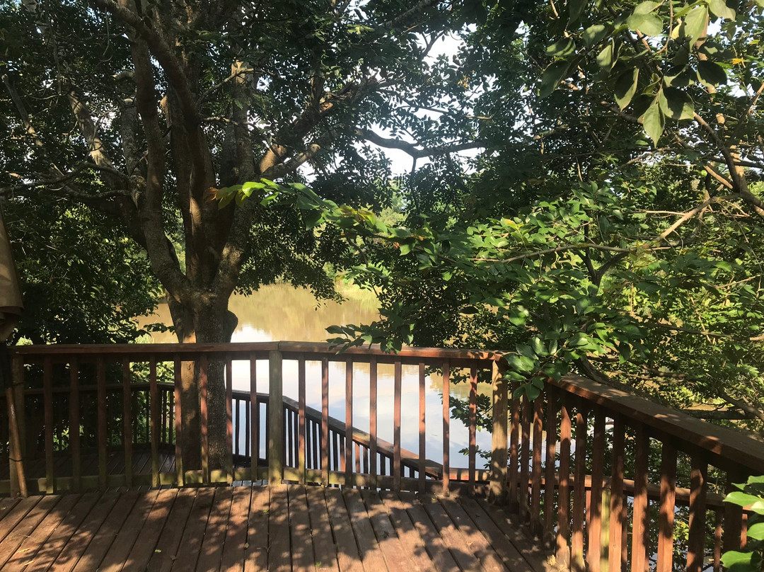 Hippo Water Front主图