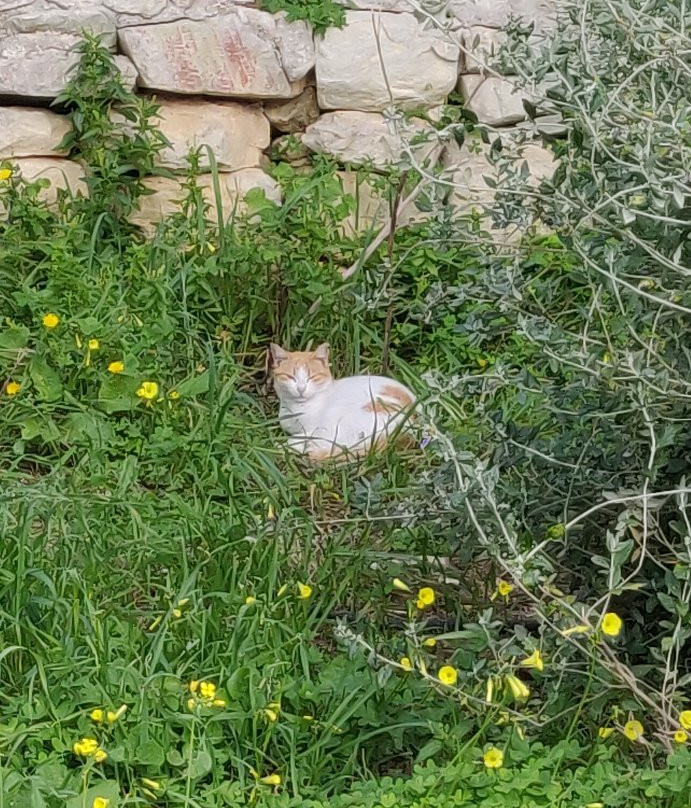 Ta’ Qali National Park-Attard必去景点