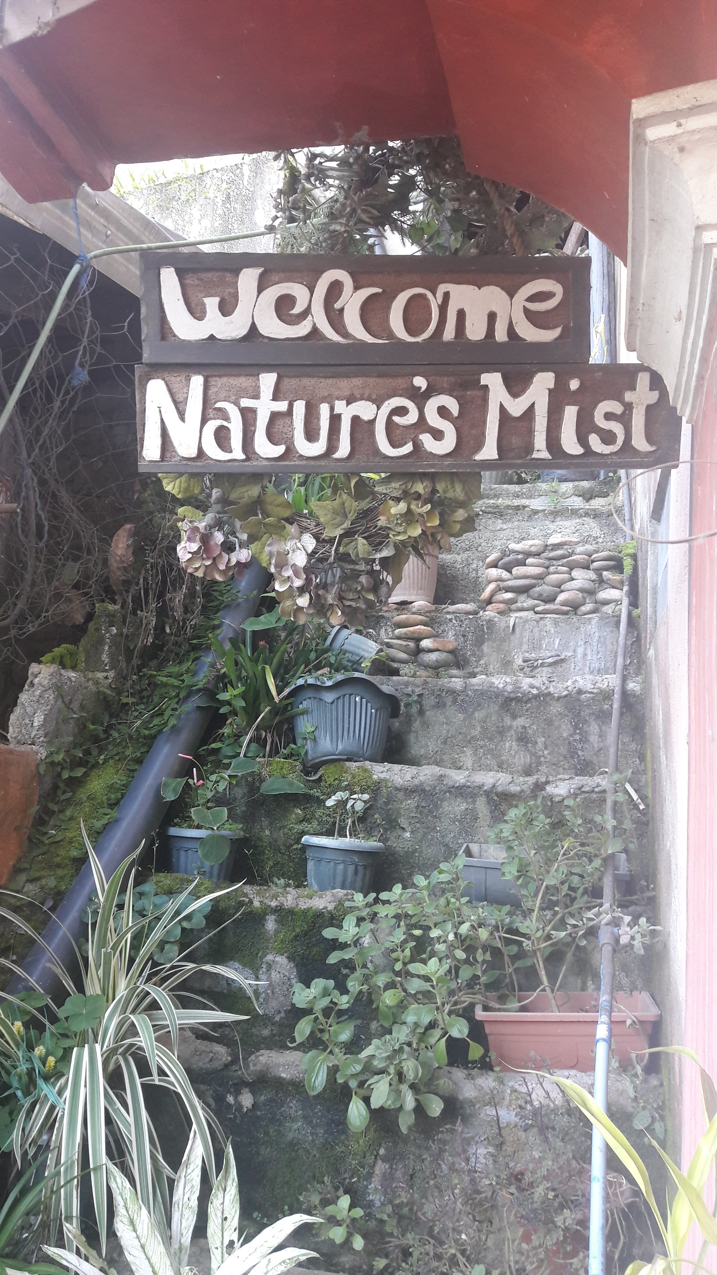 Nature's Mist-portrait