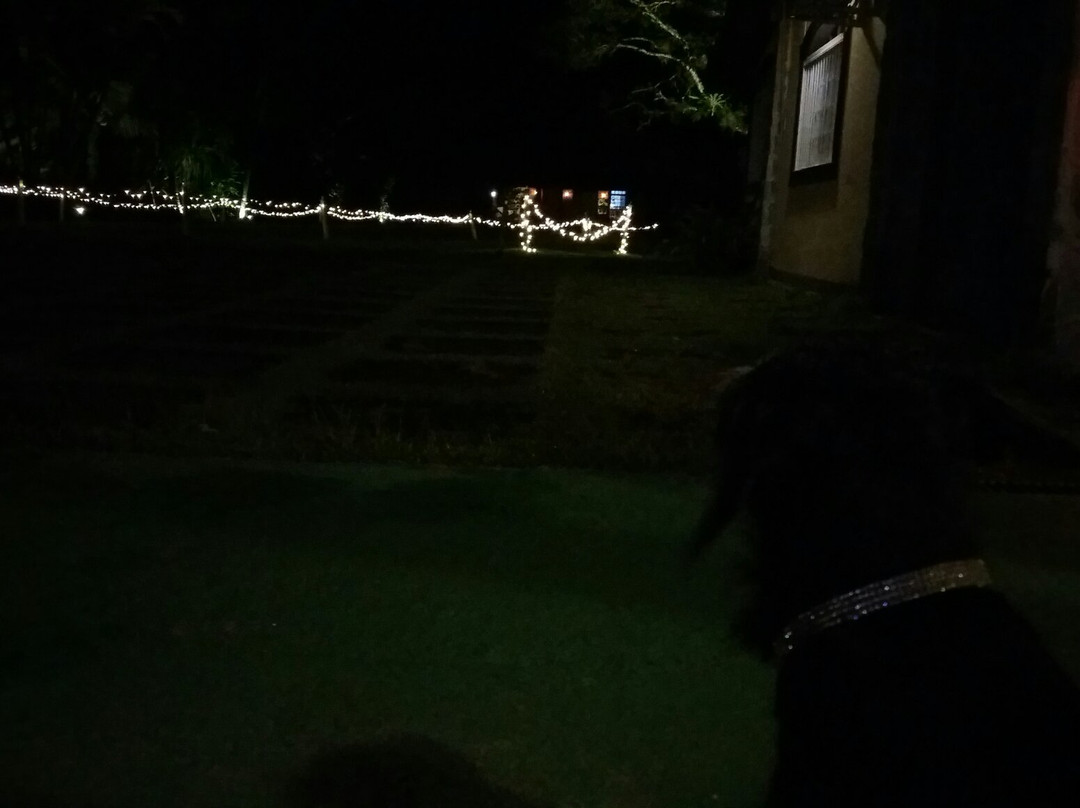 博萨达阿卡潜水度假酒店主图