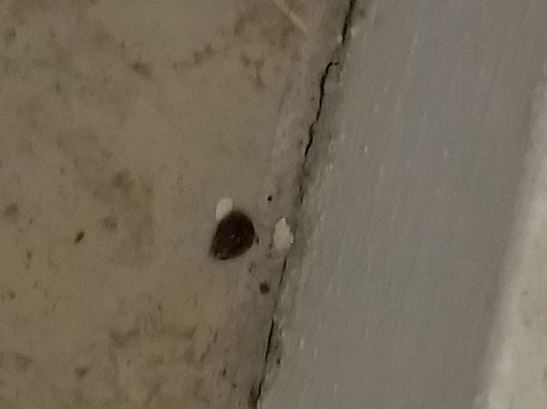 Winton Inn & Suites主图