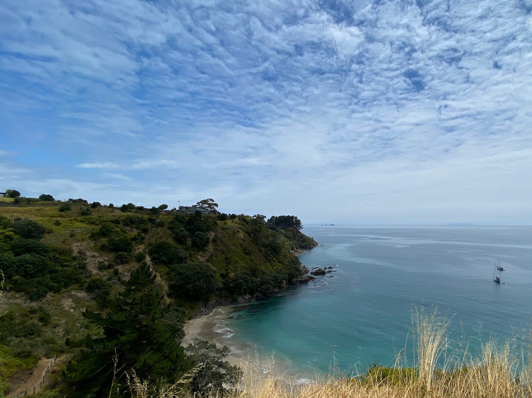 Potiki Adventures-怀系奇岛必去景点