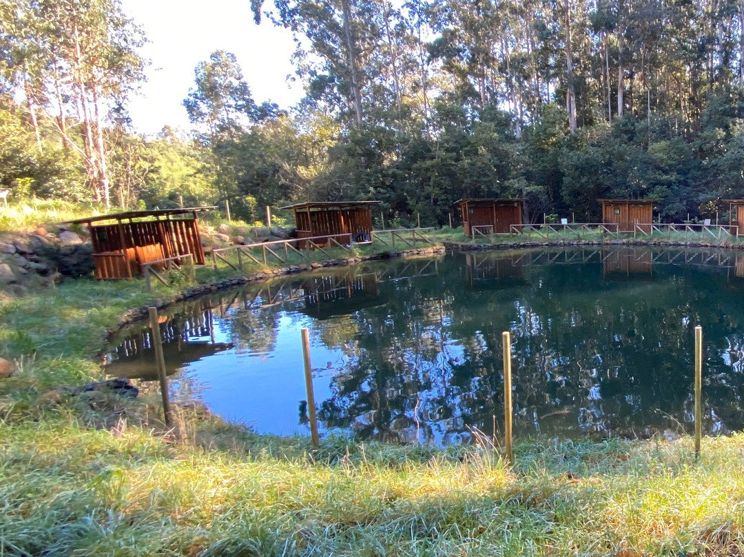 Parque Ribeira Primeira-Santo da Serra必去景点