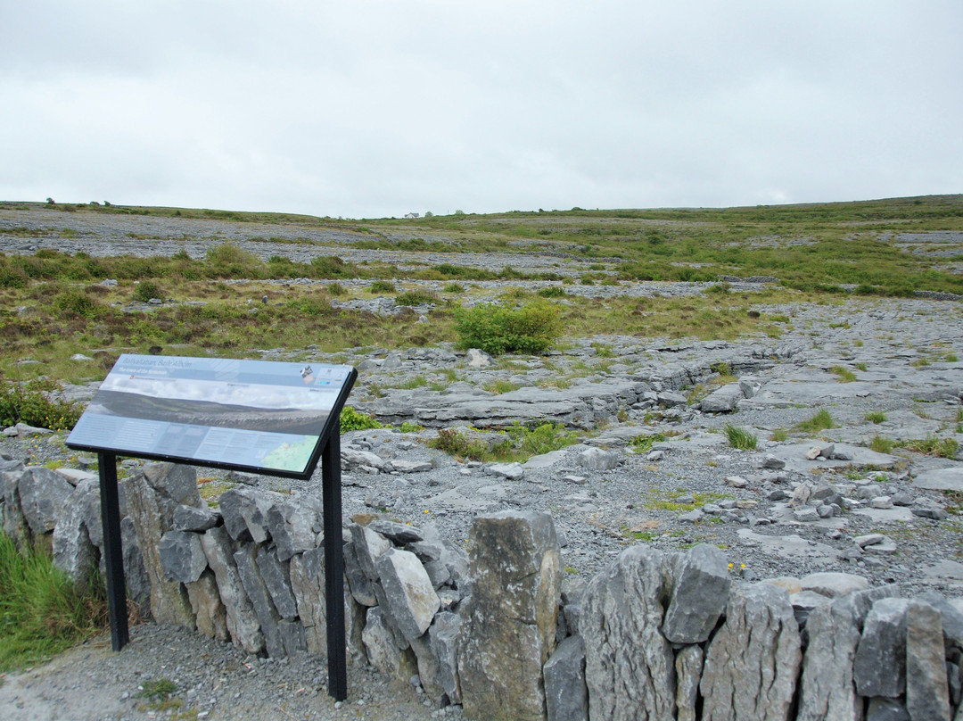 Heart of Burren Walks-Carran必去景点