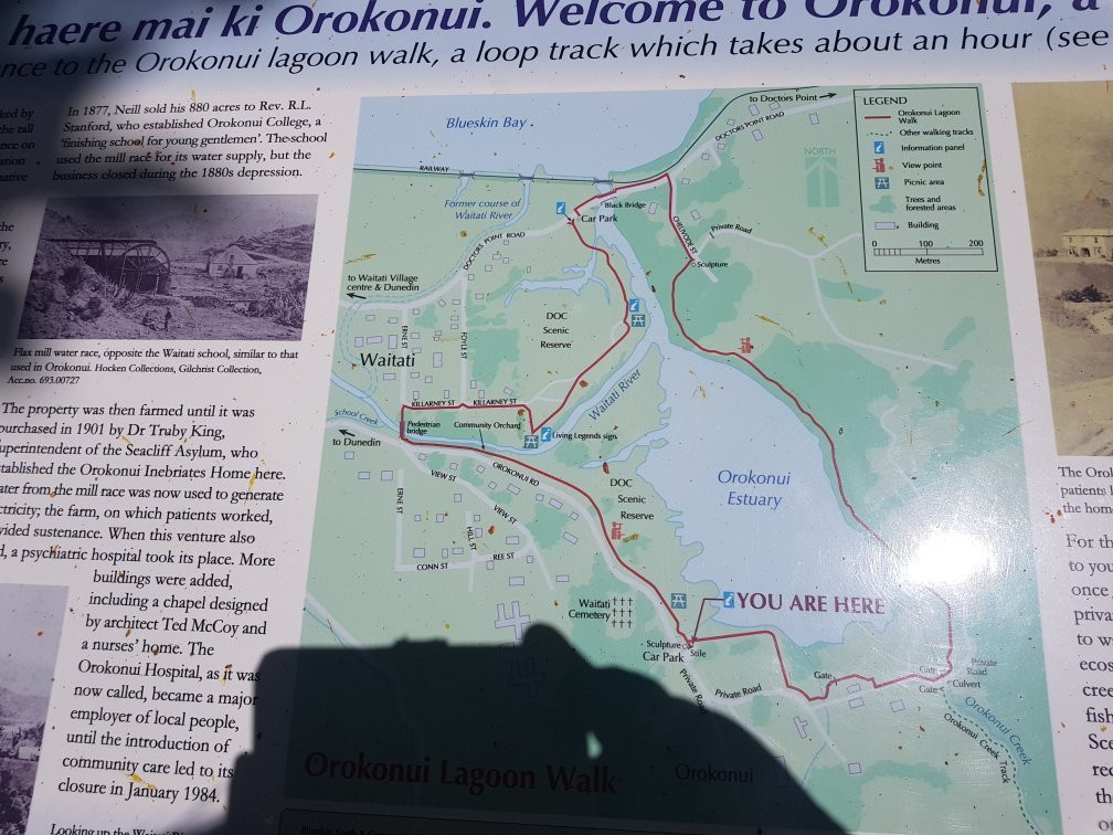 Orokonui Lagoon Walk-Waitati必去景点