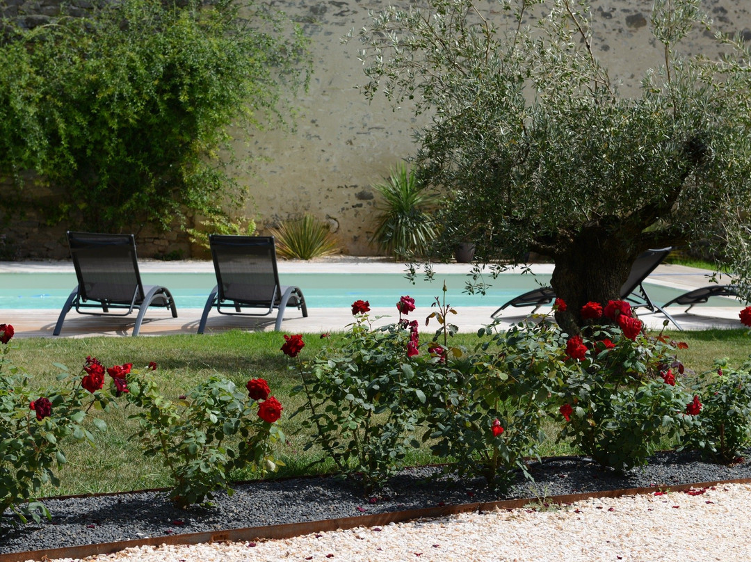Le Clos de la Massane主图