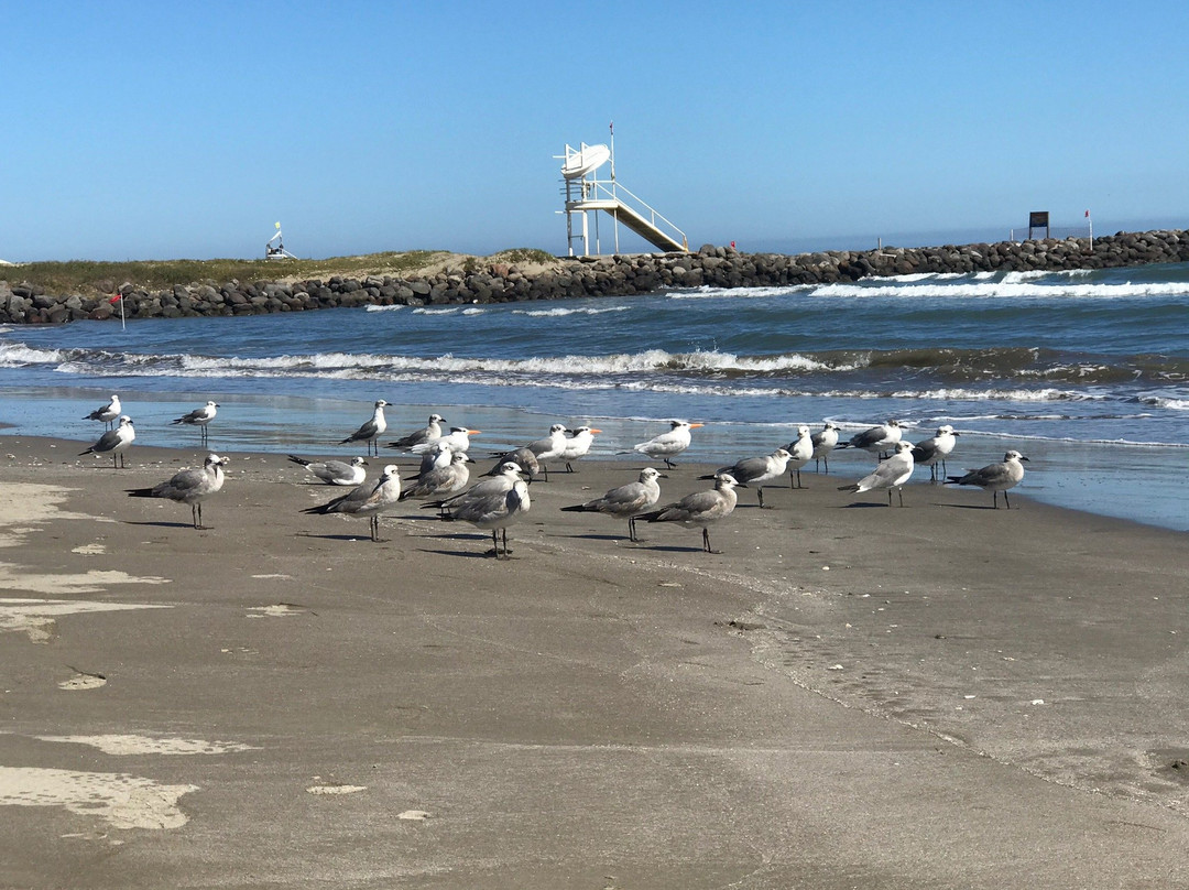 Playa Caracol Hotel & Spa主图