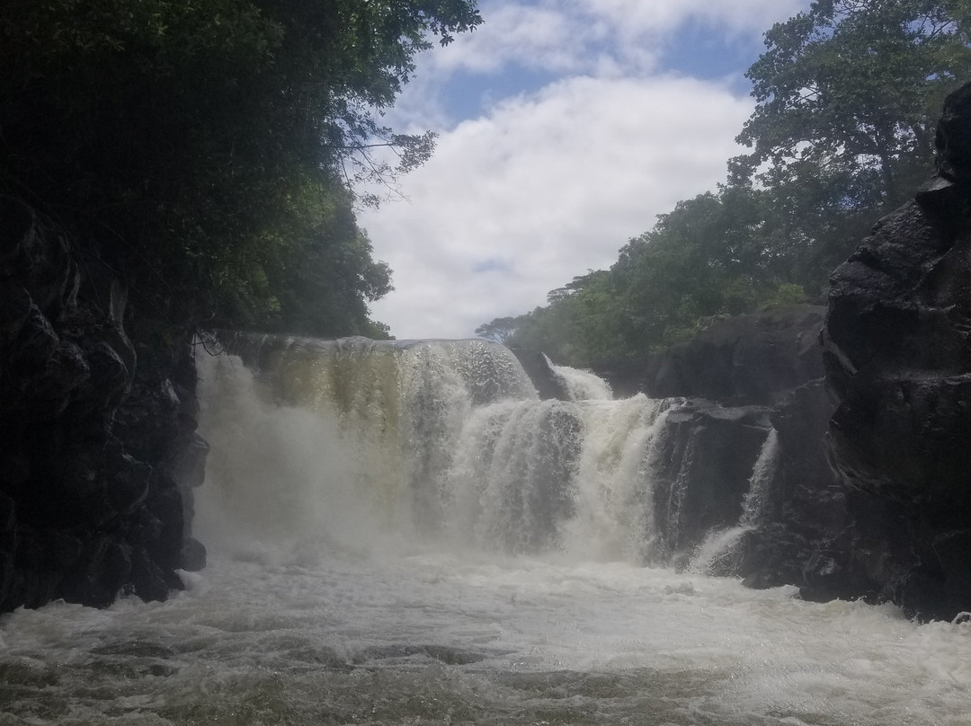 Sud Sauvage Adventure-Surinam必去景点