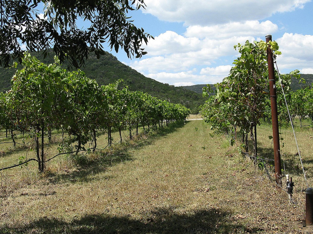 Sabinal River Winery-Vanderpool必去景点