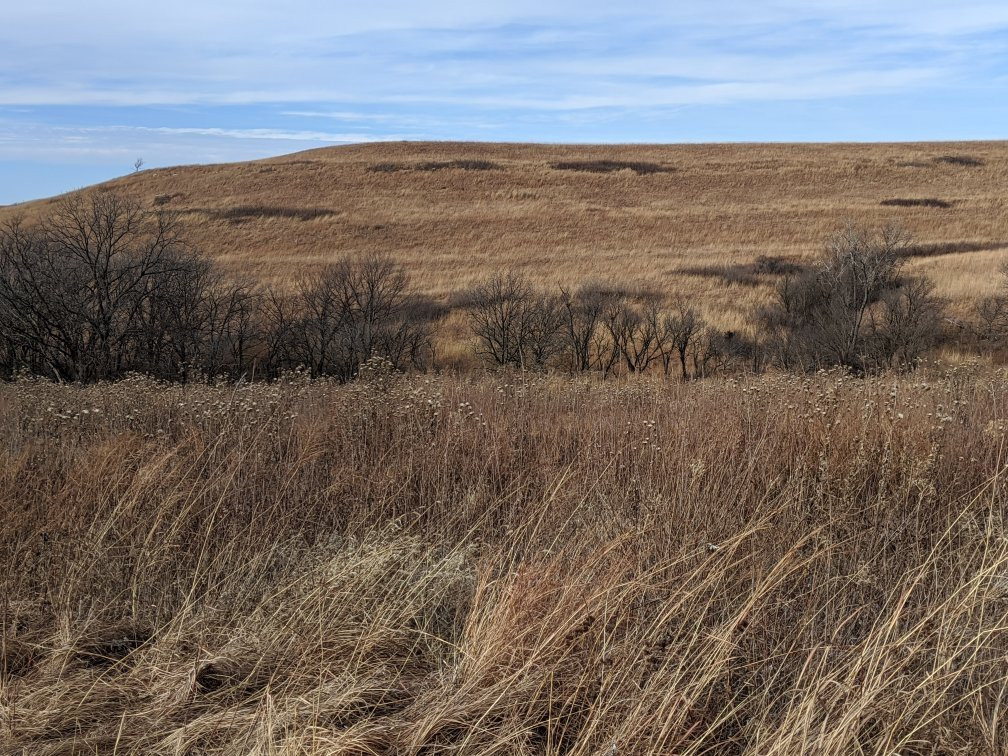 Konza Prairie Research Natural Area景点图片