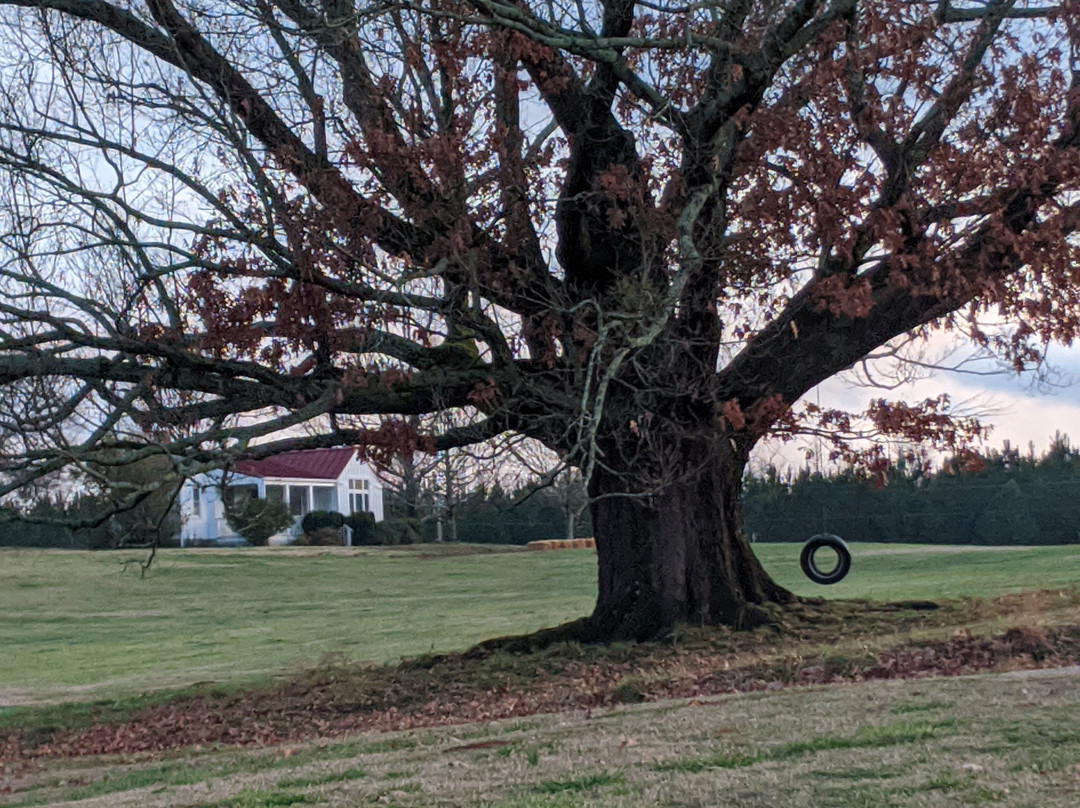 The Farmhouse Inn主图