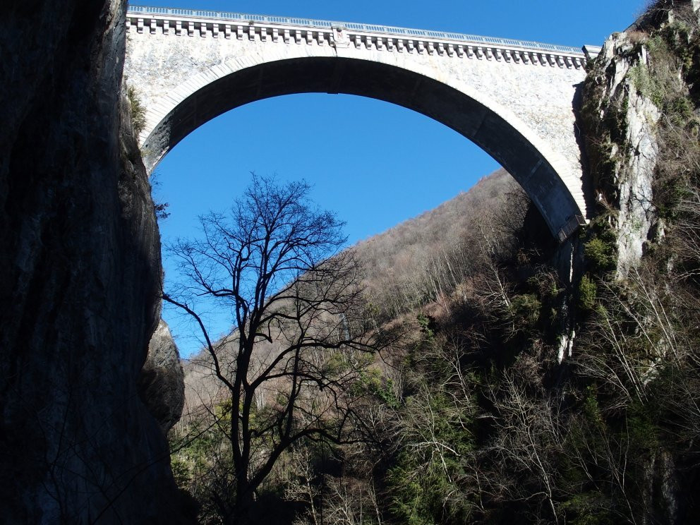 Bridge of Napoleon景点图片