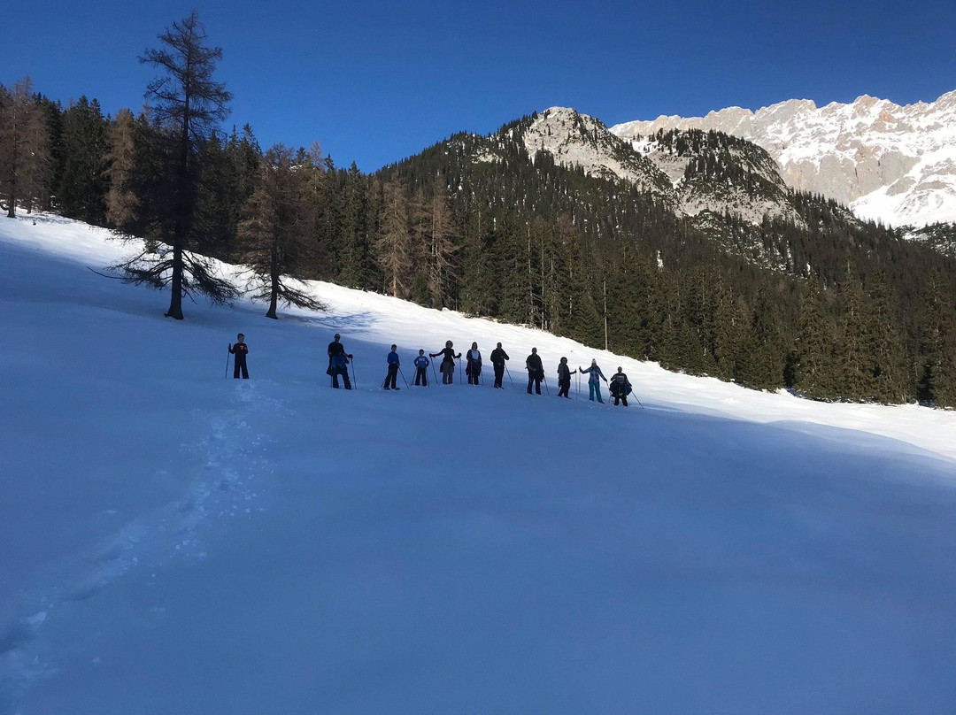 Gasthof - Pension Schaber主图