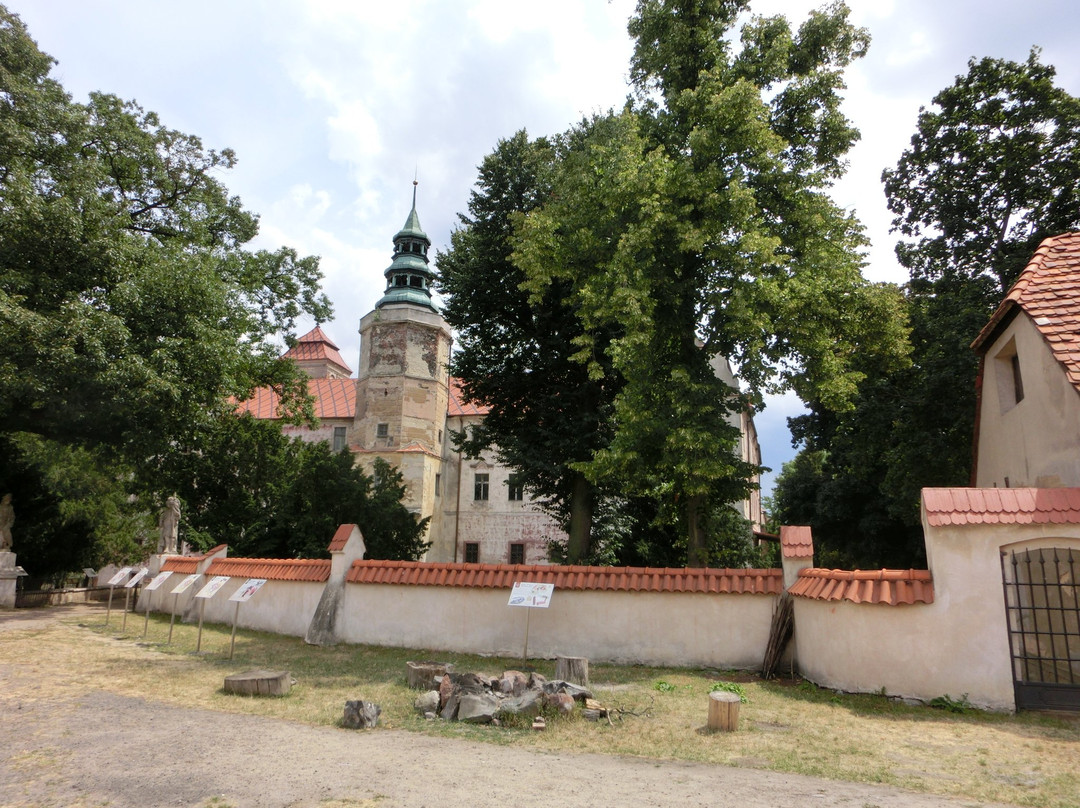 Niemodlin Castle景点图片
