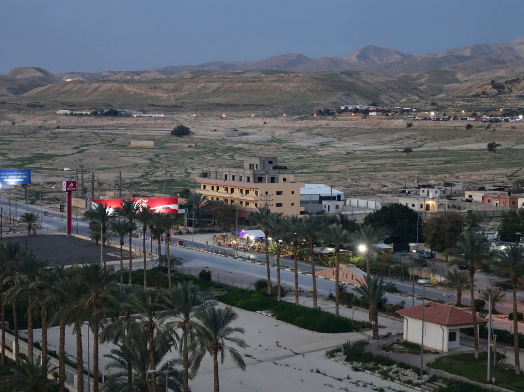 Oasis Hotel Jericho主图