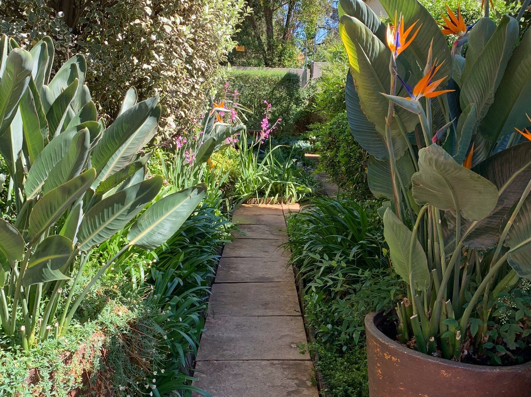 Liz at Lancaster Guesthouse主图