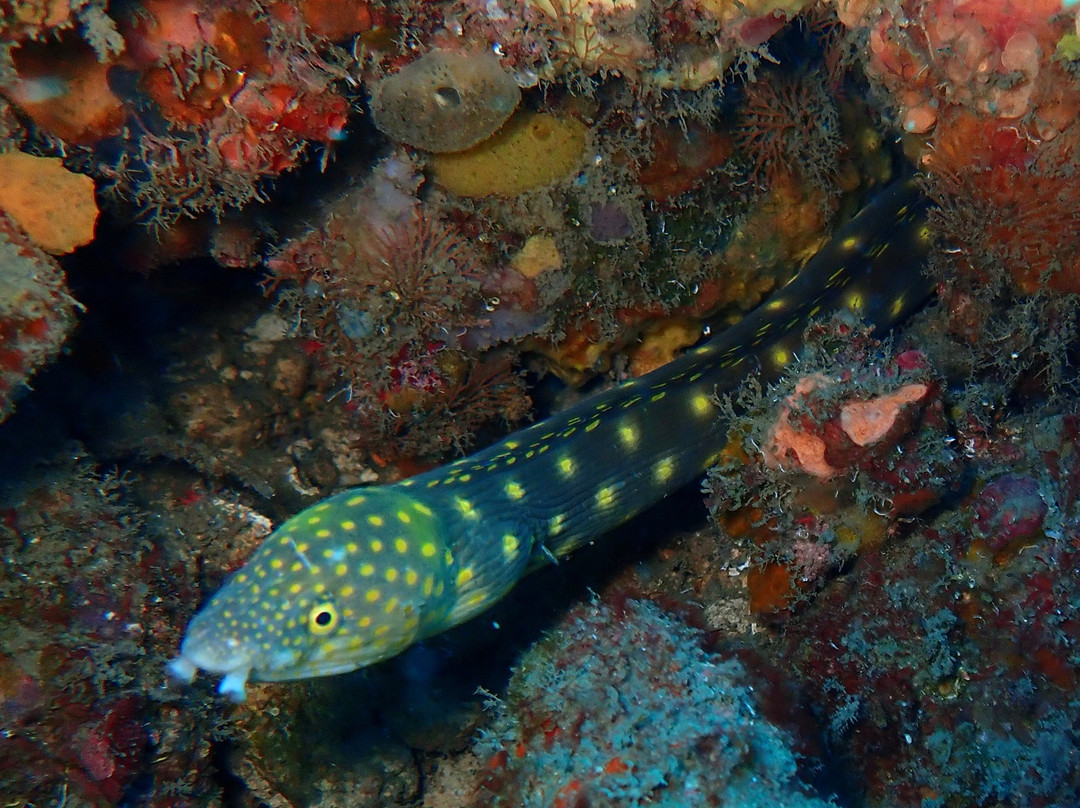 Reto Muller-位于塔甘加必去景点