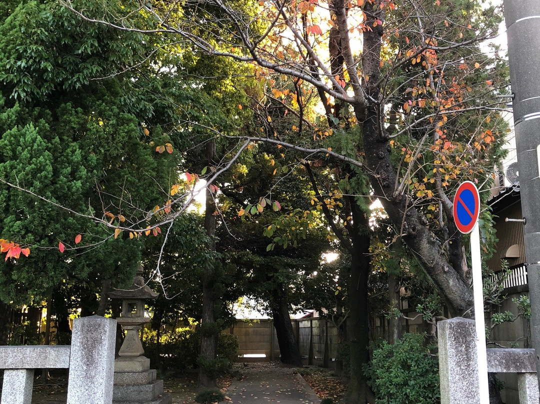 Munakata Shrine景点图片