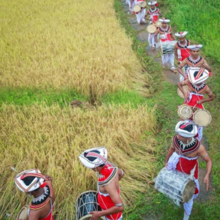 Nethu Lanka Tours-尼甘布必去景点