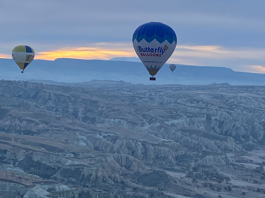 Butterfly Balloons景点图片