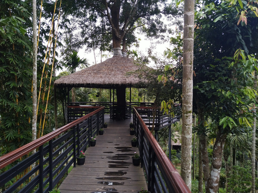 The Woods Resorts Wayanad主图