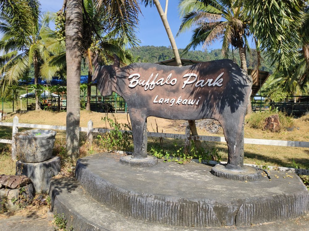 Buffalo Park Langkawi-兰卡威必去景点