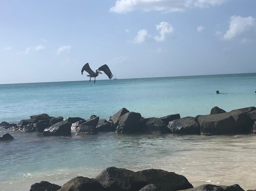 Jolly Beach景点图片