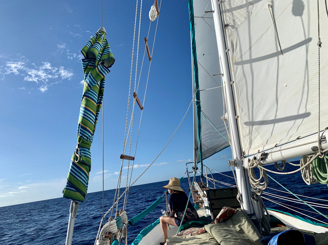 Kona Sail Charters-凯鲁瓦-柯纳必去景点
