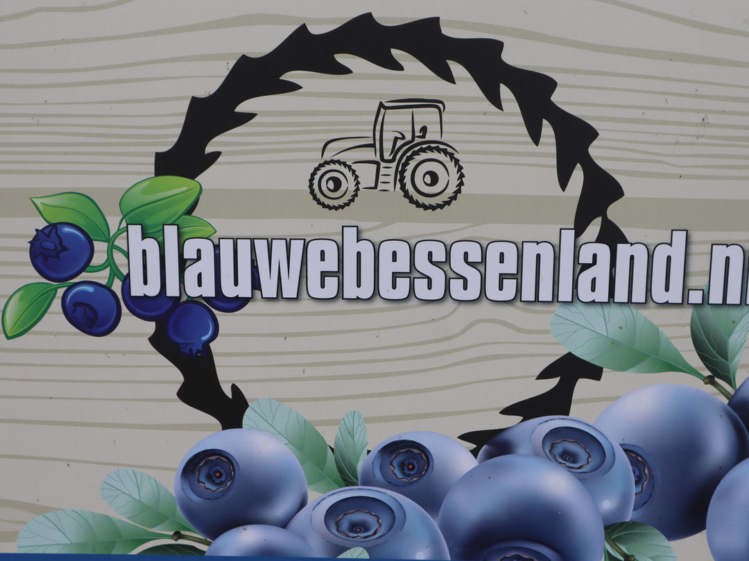 Blauwebessenland景点图片