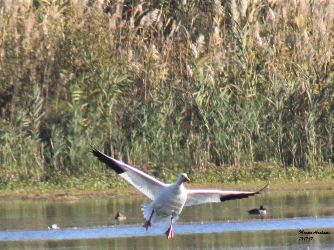 Jamaica Bay Wildlife Refuge Vstr. Cntr. - Gateway National Recreation Area-Far Rockaway必去景点