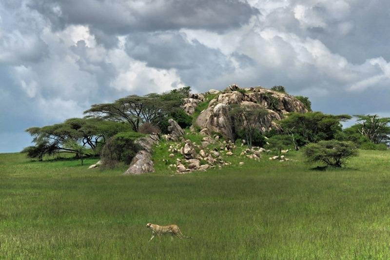 Alligator Trekking and Safaris-阿鲁沙必去景点