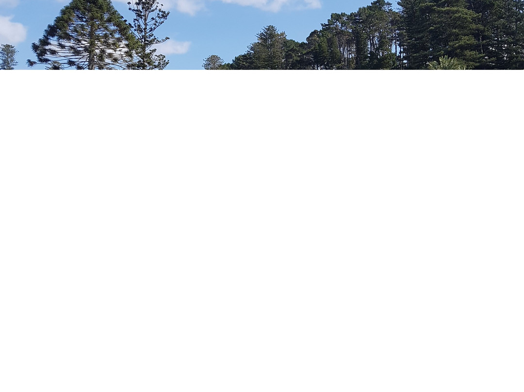 Kawau Cruises-瓦卡沃夫必去景点