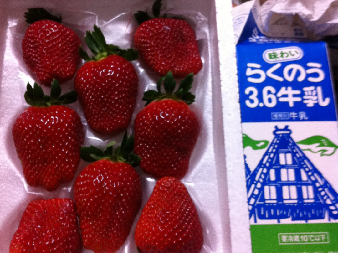 Hayashi Strawberry Farm景点图片