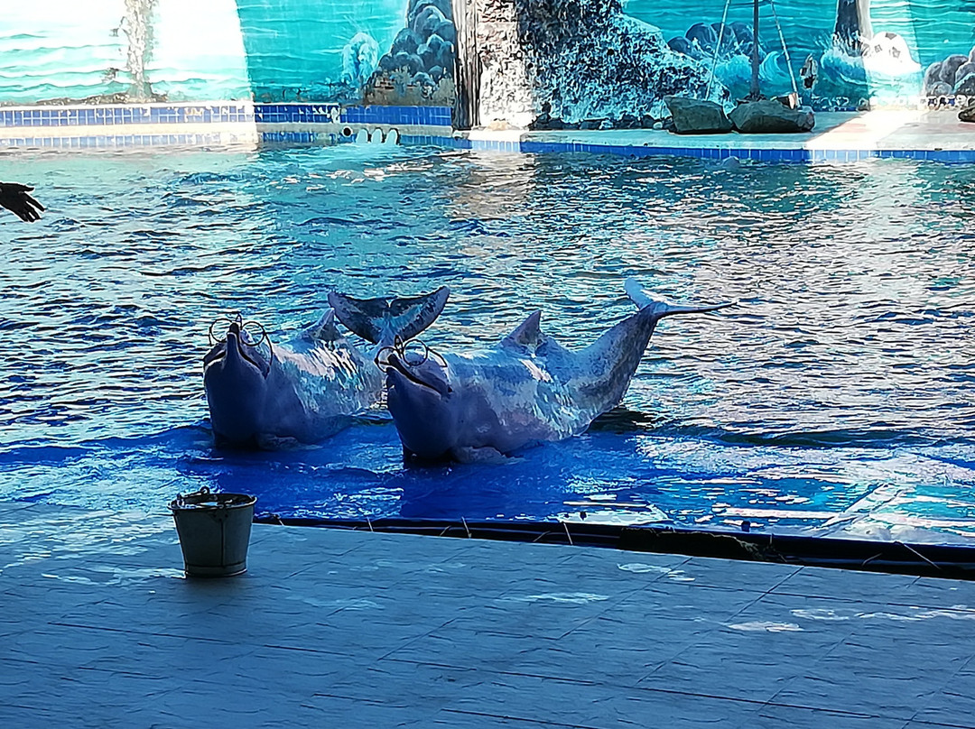 Oasis Sea World-廉信必去景点