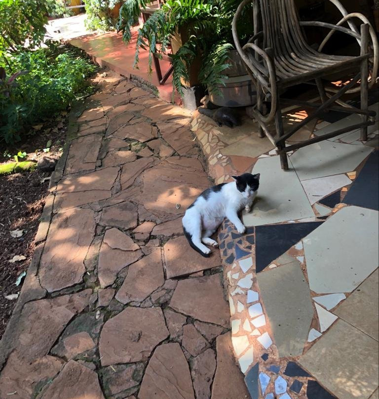 Tembotamu Tanzania B&B, Safaris and Treks主图