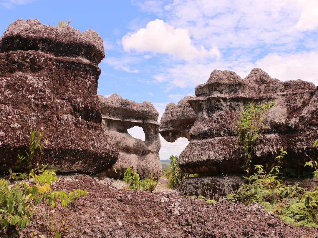 Impulse Travel-La Macarena必去景点