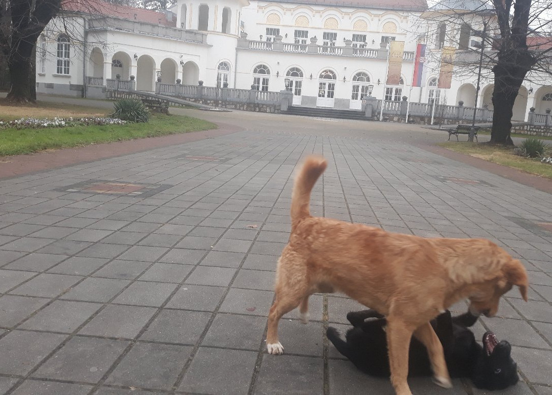 Wellness center Kovilje景点图片