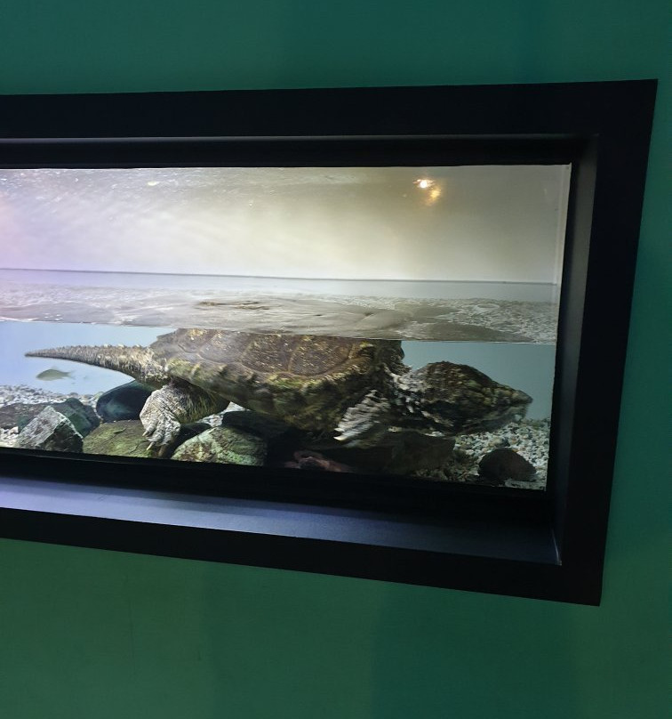 Danuri Aquarium-丹阳郡必去景点