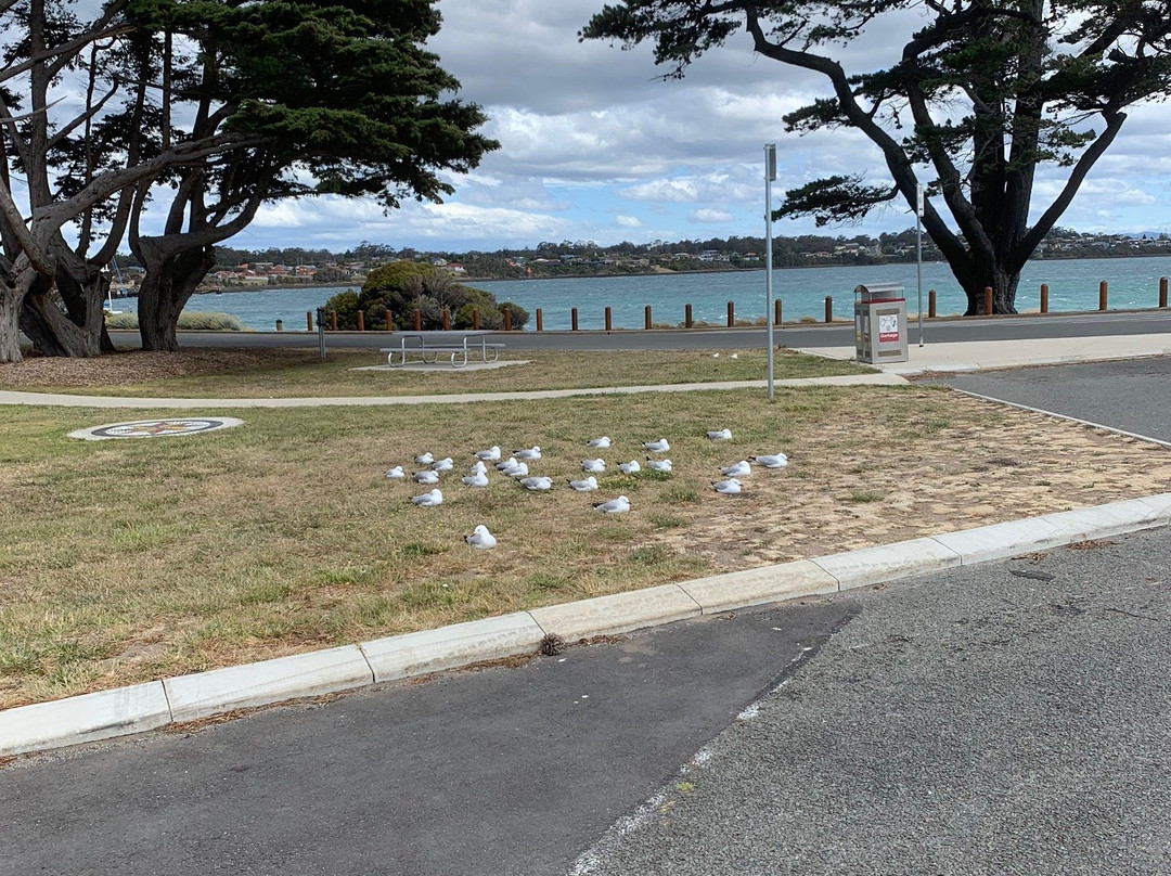 Paterson Monument-George Town必去景点