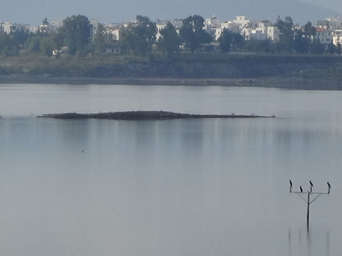 Mumcular Dam-蒙朱拉尔必去景点