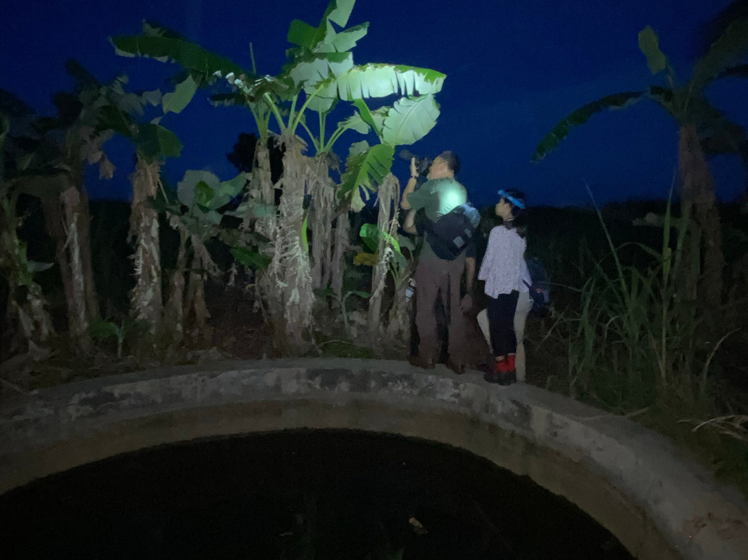 Royal Tusker Udawalawa主图