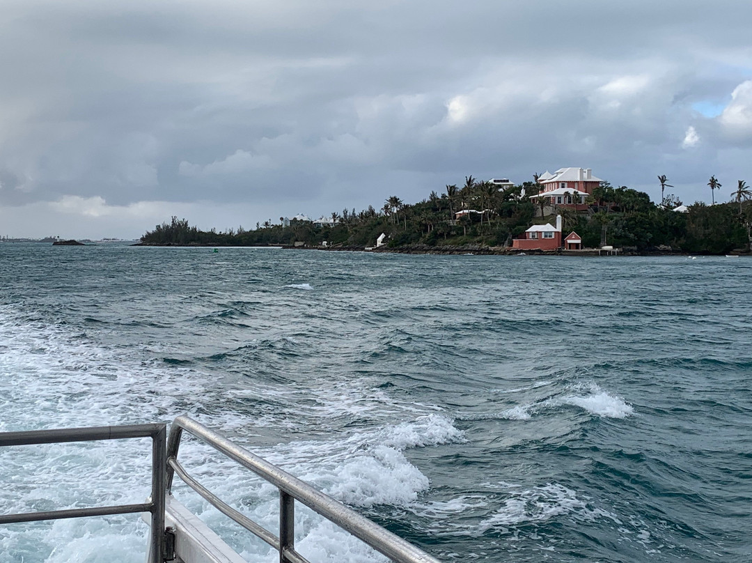 Sea Express Ferry Service-汉密尔顿必去景点