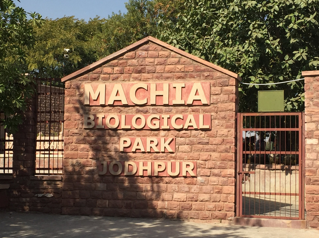 Machia Biological Park景点图片